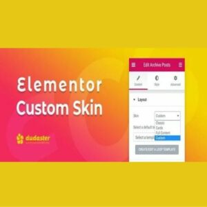 elementor custom skin pro 500
