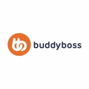 buddyboss theme