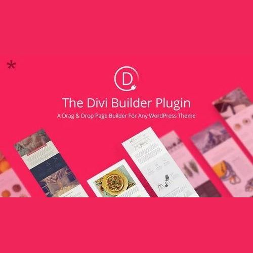 Elegant Themes The Divi Builder