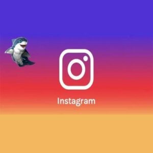 oceanwp instagram