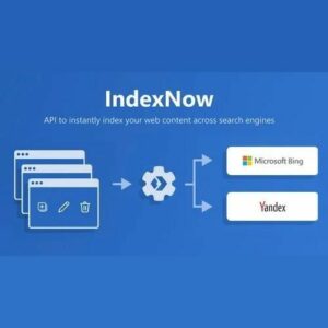 All In One SEO Pack Pro IndexNow